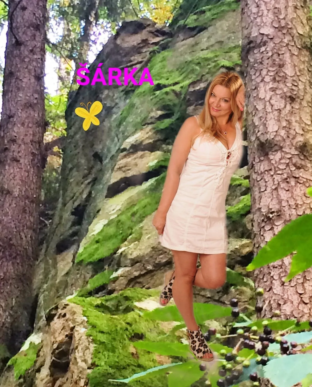 ŠÁRKA NE-ČT 