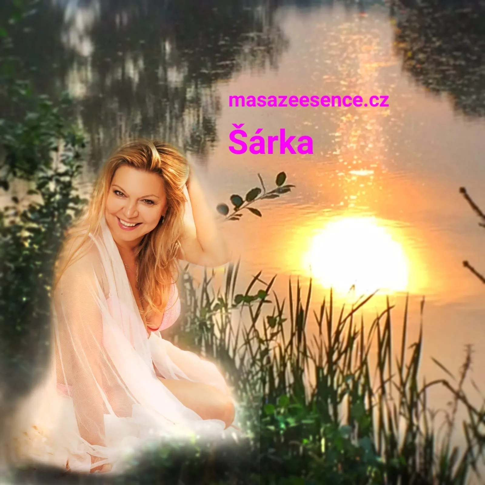 ŠÁRKA NE-ČT 