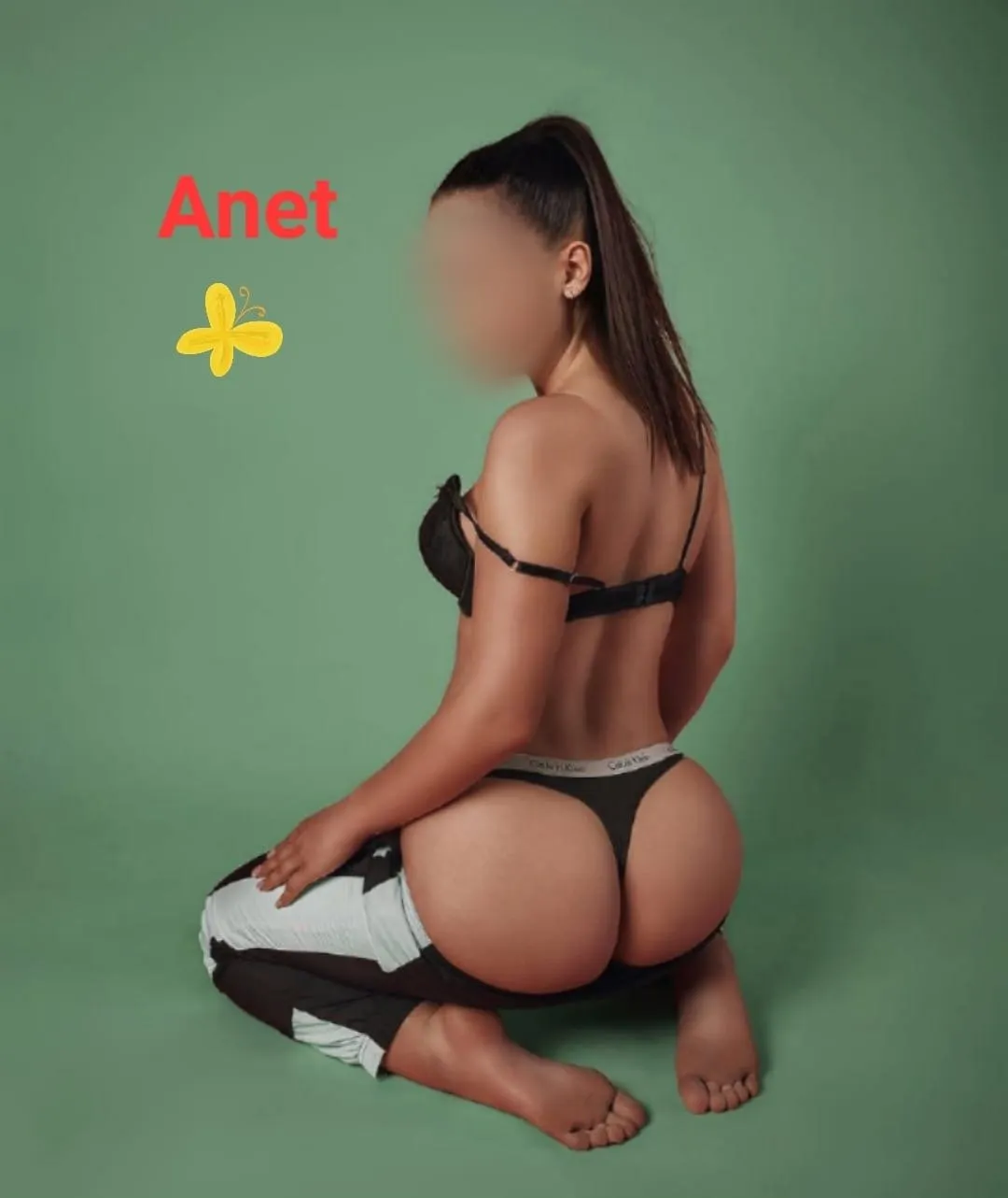 Nová: ANET, 23, PA-NE